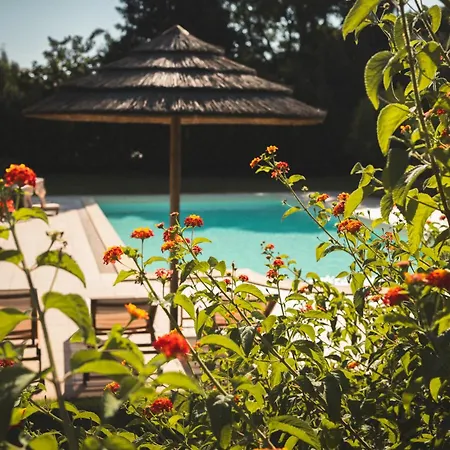 Βίλα Casa Solemio - Mediterranean Aesthetic Casa Linari